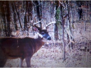 Property photo 21 - LAND AUCTION - 138+/- ACRES OFFERED IN 3 TRACTS IN SPENCER COUNTY, INDIANA